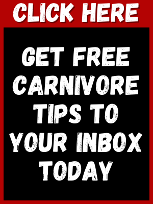 Carnivore Lounge Newsletter