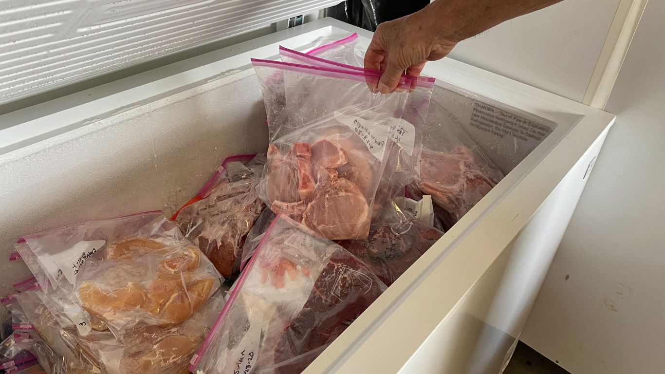 Food Storage Meat Bulk Purchase